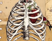 Bird Cage, limited edition art print
