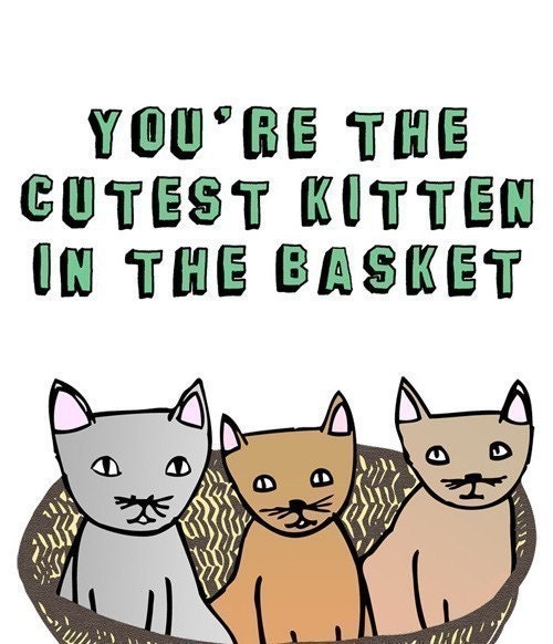 Greeting Card - You're the cutest kitten in the basket