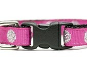 Cat Collar - The Signature