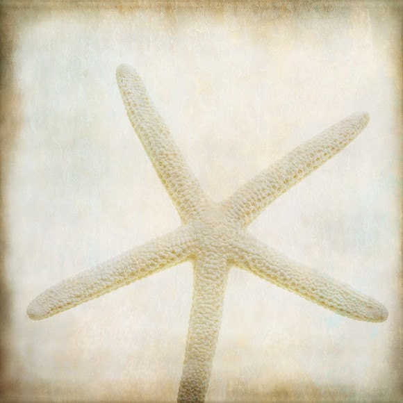 starfish... ocean sea shell photograph cottage beach print with white sand color