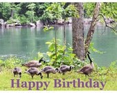 Family of Geese Photo Birthday Card