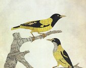 Goldfinches