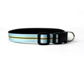 5/8 or 3/4 Inch Wide Dog Collar with Adjustable Buckle or Martingale in Suited