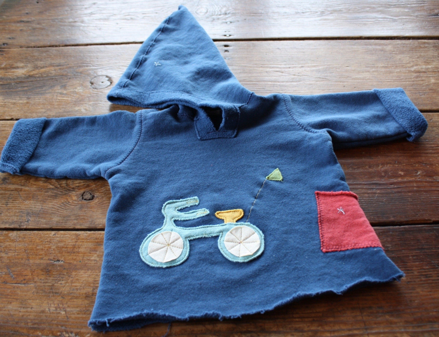 Bike Safely Organic Hoodie