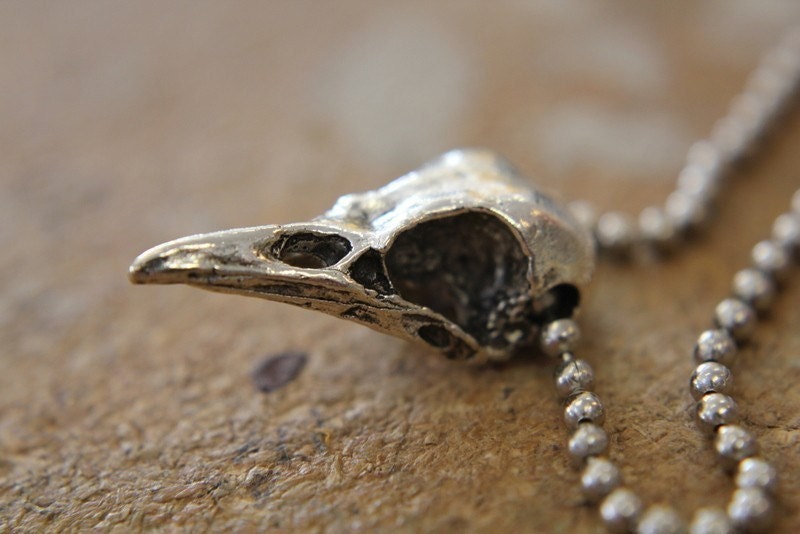 Bird Skull on 24" Chain