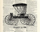 Buggy - 13x19 LARGE Archival DICTIONARY Art Print