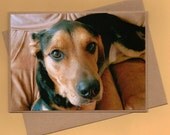Handmade Greeting Card Shepherd Mix Dog for Dog Lovers