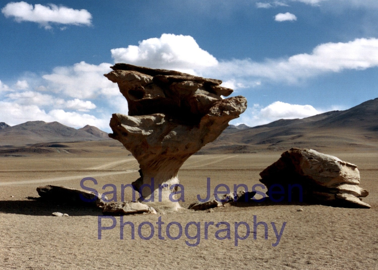 Print - "Salar de Uyuni Rock Tree" - Bolivia