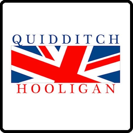 Quidditch Hooligan Harry Potter tee