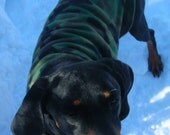 Double Fleece Camo Dog Jacket