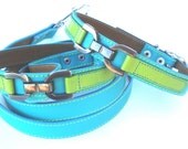 Cool Leather Dog Collar and Leash Set Turquoise and Lime