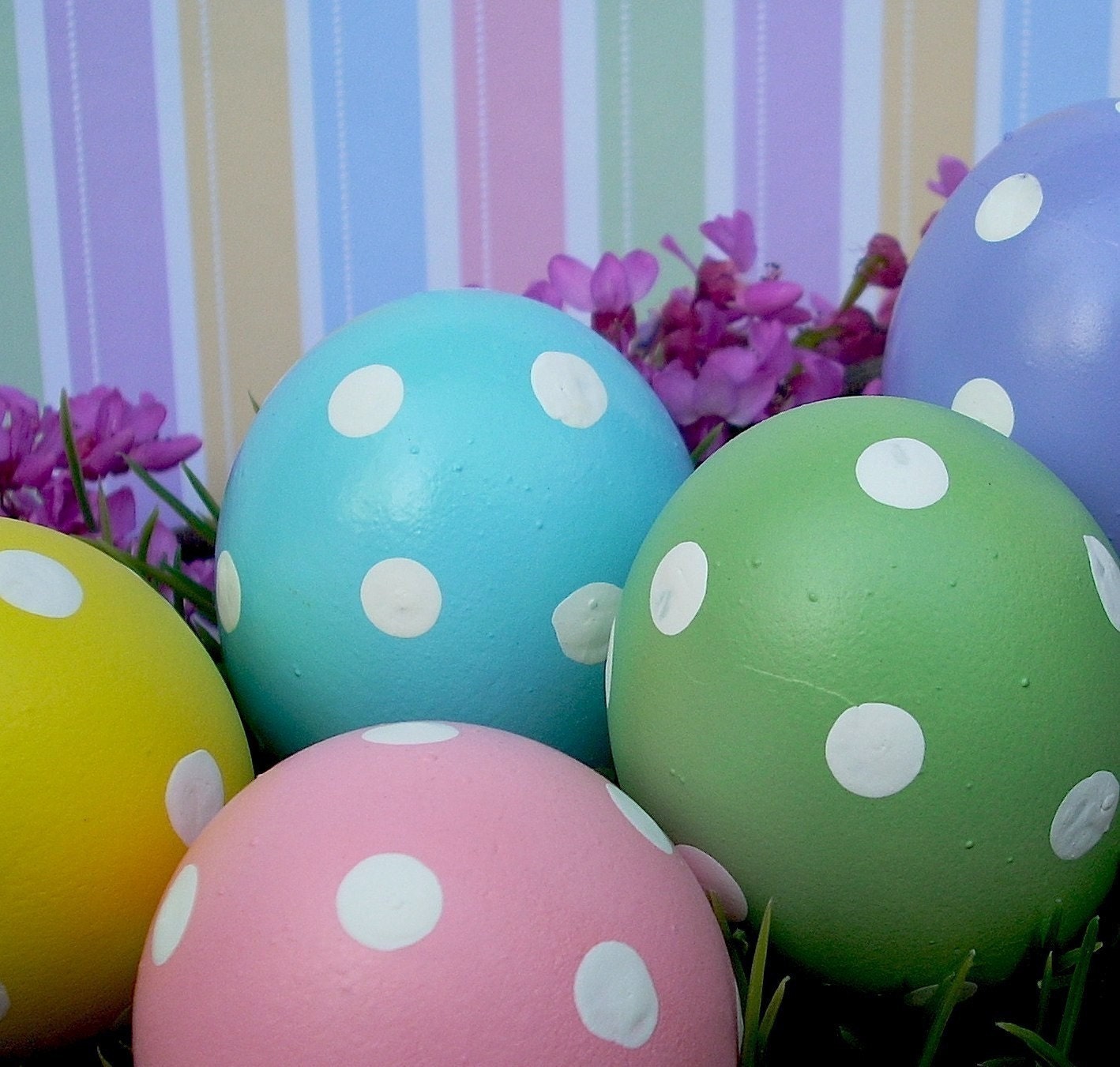 Cascarones (Confetti Eggs), FIVE DOZEN, Polka Dots for Easter, Spring, or Perfect for a Baby Shower
