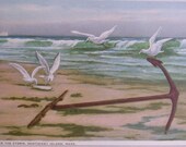 After the Storm,  Nantucket Post Card, H. Marshall Gardiner.