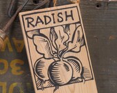 Hand-DRAWN Garden Marker for Radish