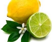 Cool Mint Lemonade Sugar Body Polish 8 oz.
