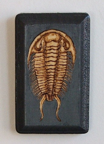 Trilobite Woodburn Painting