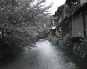 Gion River Crane - 8x10 Fine Art Photo