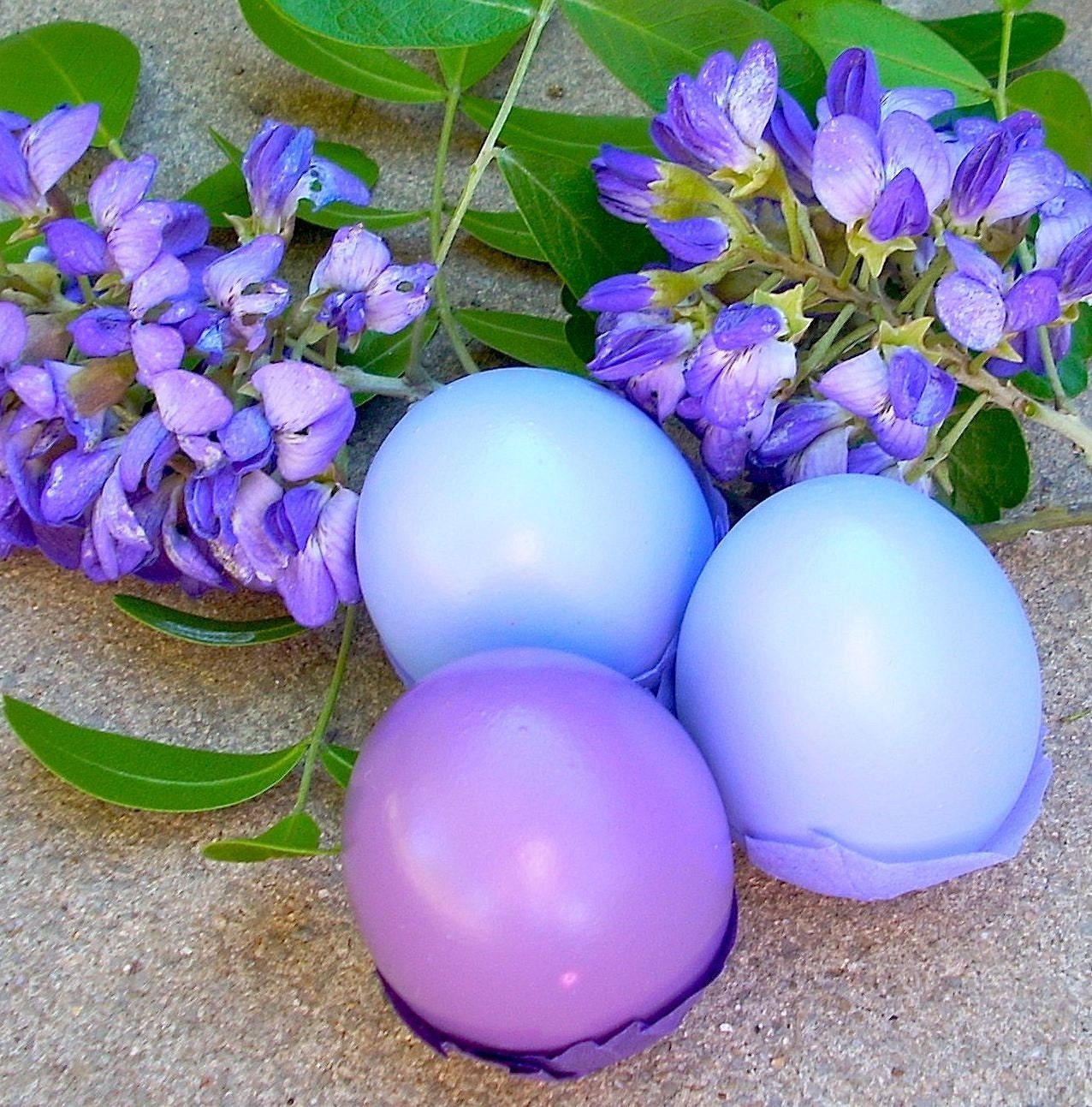 Cascarones (Confetti Eggs), TWO DOZEN, Violet and Purple