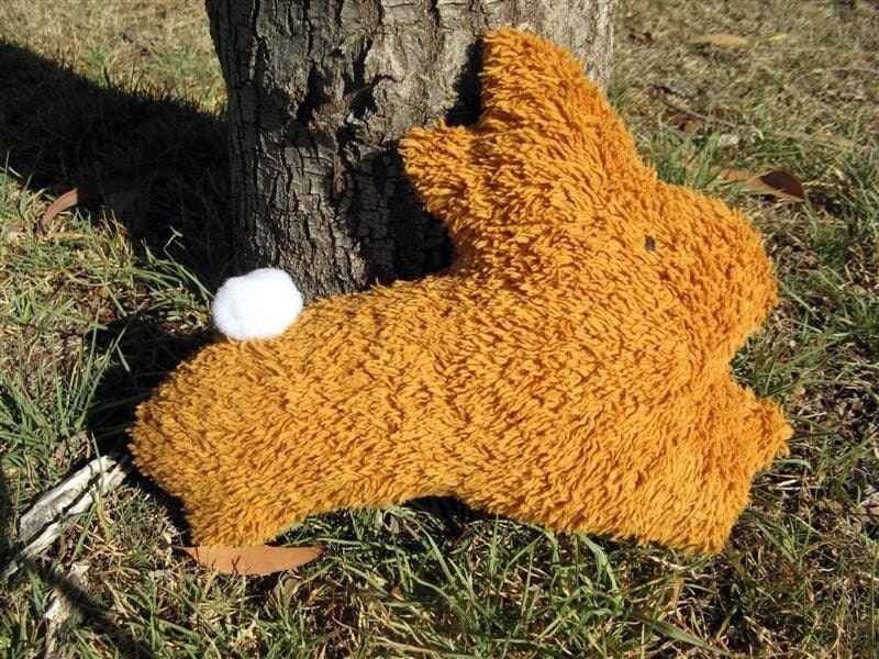 Baxter the brown easter bunny