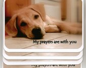 Sympathy Husky Lab Mix Puppy Handmade Greeting Card-My prayers are with you-Set of 4