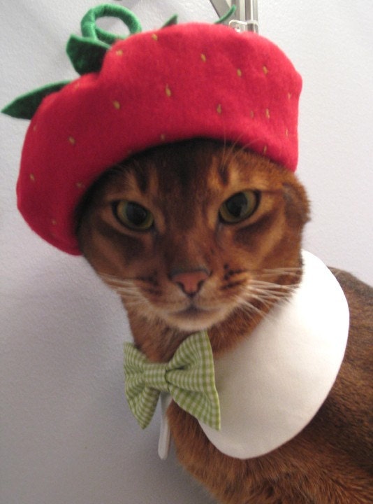 strawberry beret