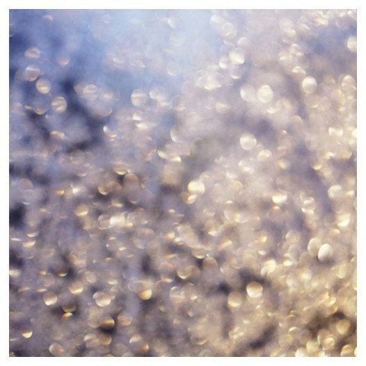 Winter Photograph - Abstract Photography - Winter Aglow- Original Signed Fine Art Photograph