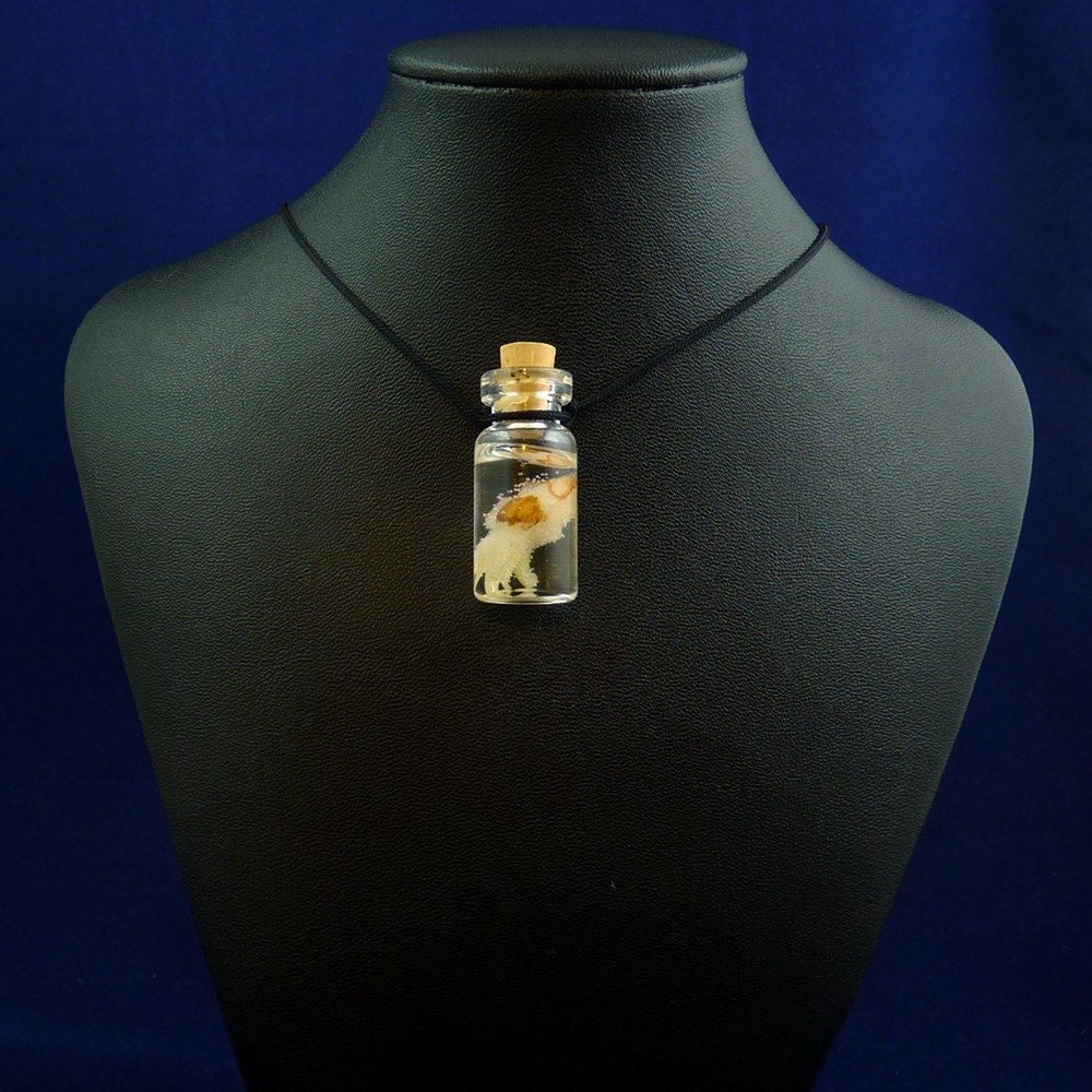 Cuttlefish Specimen Jar Necklace  - Handmade Biology Inspired Jewelry