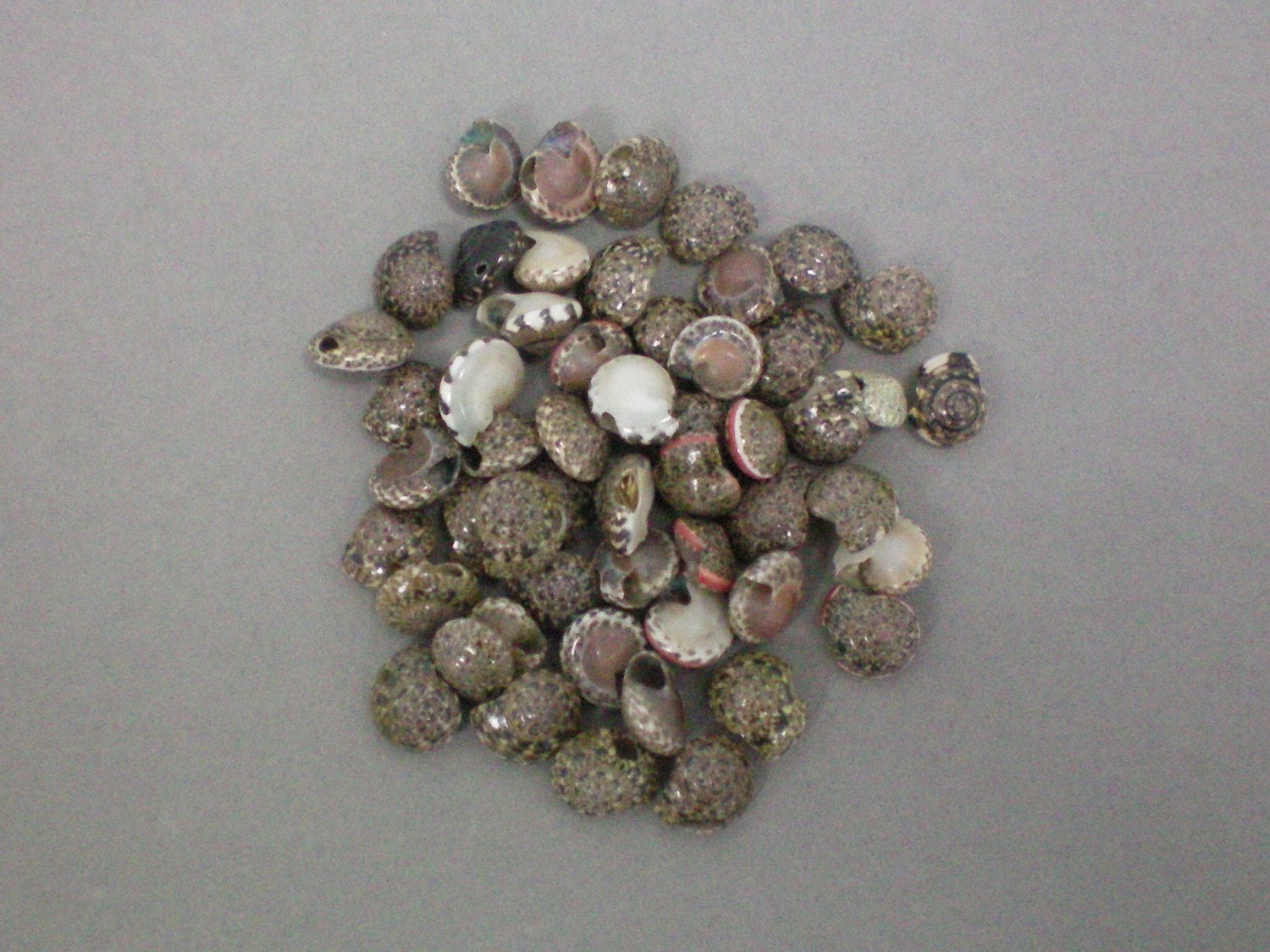 Shell mix