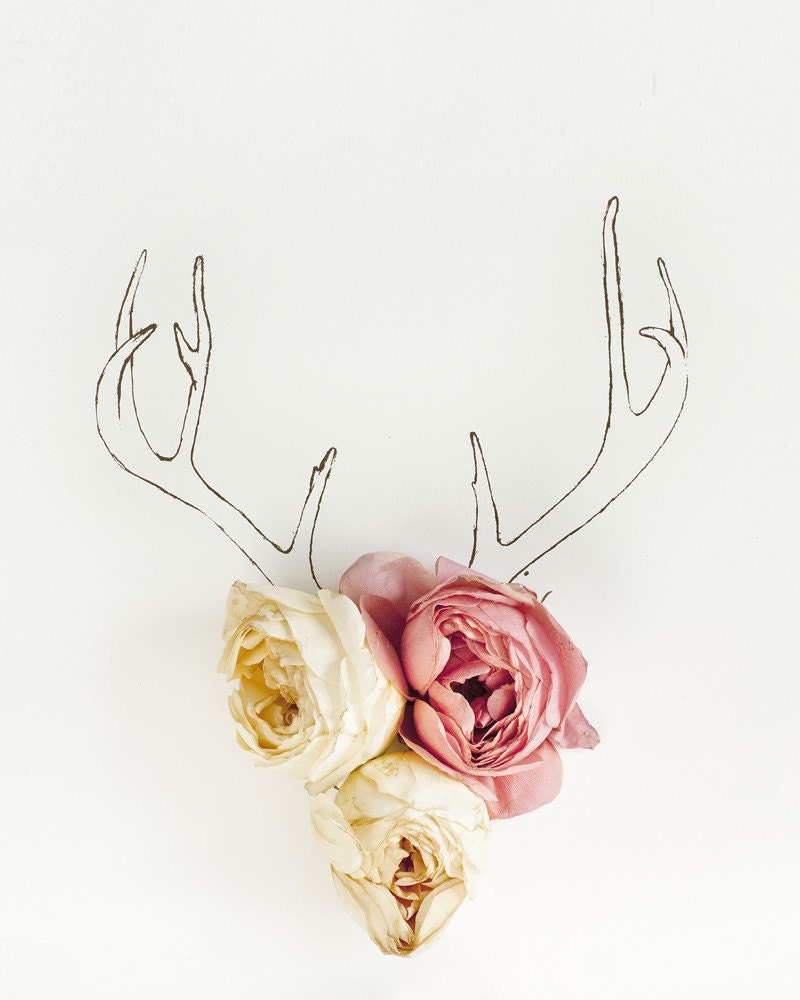 Antler drawing and flower photograph 4217