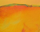landscape 13