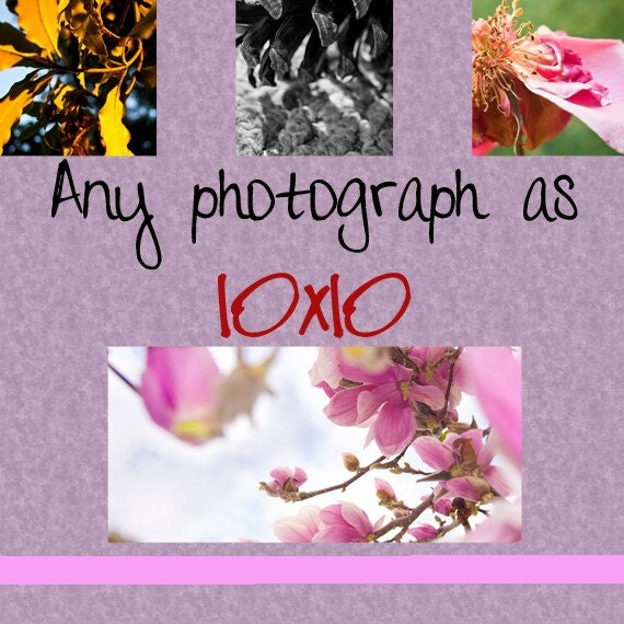 Any image as a 10x10 print. Free domestic shipping.