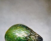 Still Life with Avocado