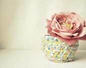Braided Basket Beauty