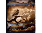 Raven in the Stormy Clouds Fine Art Print