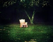 Nap Time - 5x7 Fine Art Photography Print   Alice in WonderLand Inspired