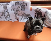 Japanese Ink and brush Drawing Session, One hour of Pet Portraits- pug, bugg, cat, bird