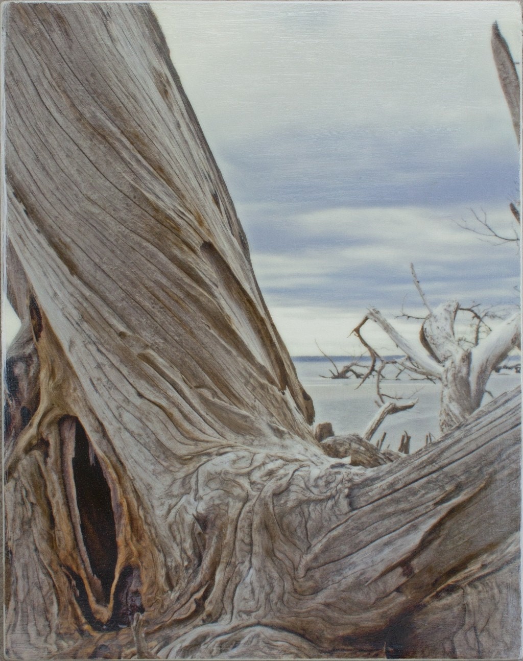 Adrift on Ossabaw Island - Photo Encaustic on Cradled Wood Panel by Melissa Schneider