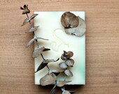 Eucalyptus Soap