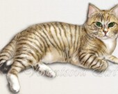 ACEO cat Kosh digital print of original illustration. Download and print