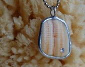 Amber North Carolina Shell Necklace