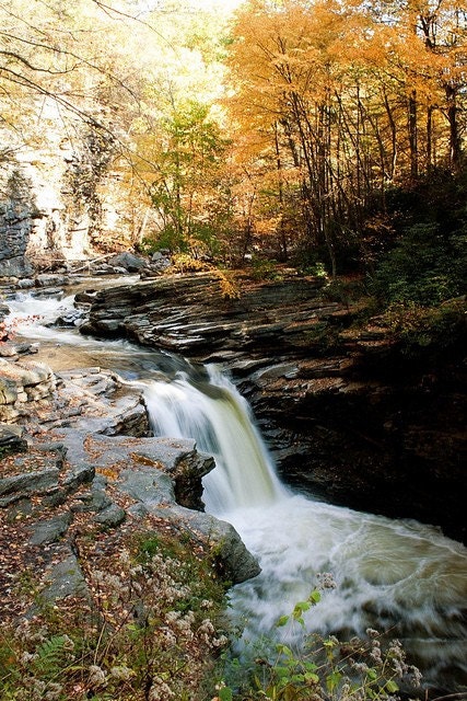 Nay Aug Park, Scranton, PA WATERFALL Fine Art Photography 5x7