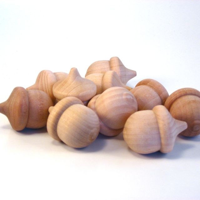 Dozen Cute Little Acorns