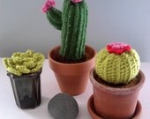 Kill Proof Crochet Succulent Plant