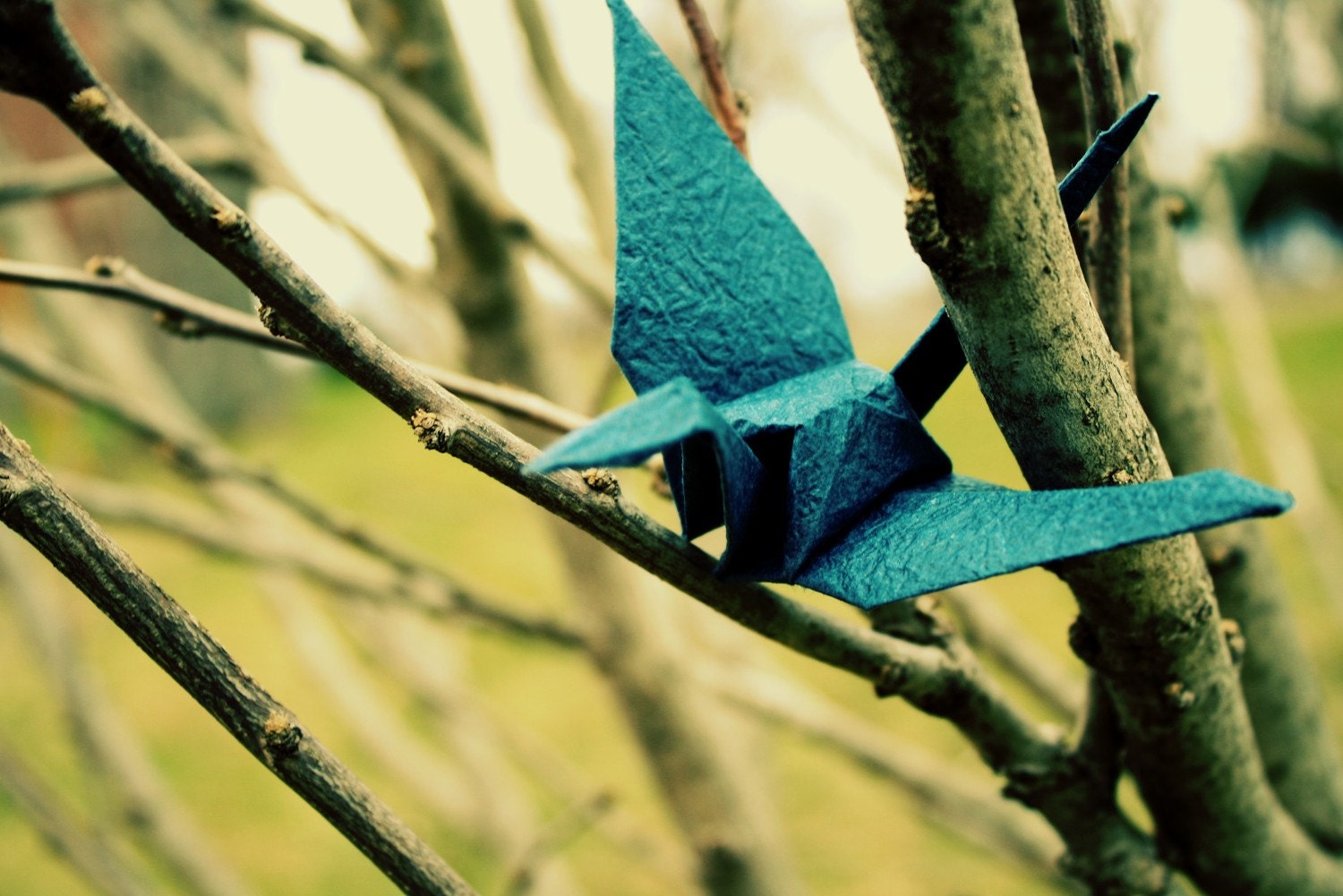 Help Japan- origami crane photo print