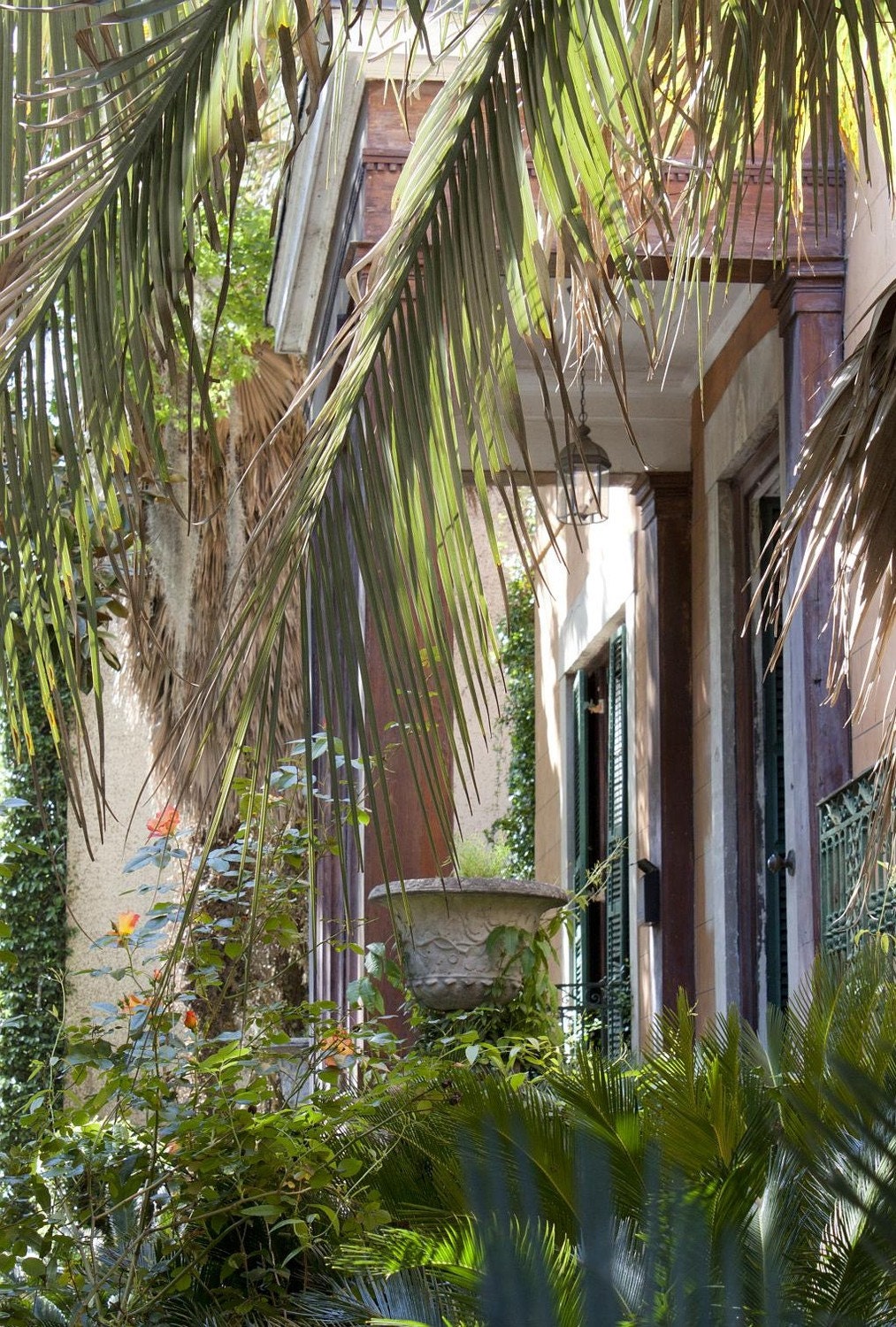 Southern Mystery - Savannah, GA - An original photograph by Melissa Schneider