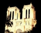 Moon Light Illumination of the Notre Dame Cathedral - 5x7 Fine Art Print