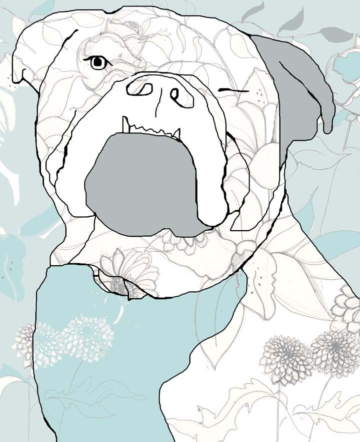 Bull Dog Illustration
