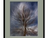 Fine Art Photographic Print - Flowing Tree 10 x 8 inch