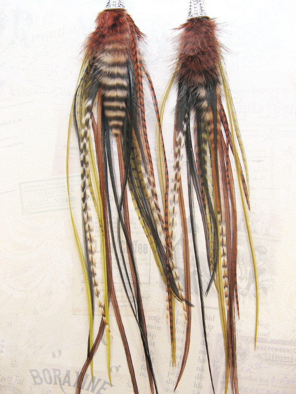 Tiger Lily