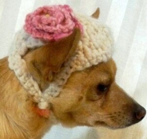 Small Ivory crocheted dog hat with pink rose, pink butterfly button, lime dog bone button